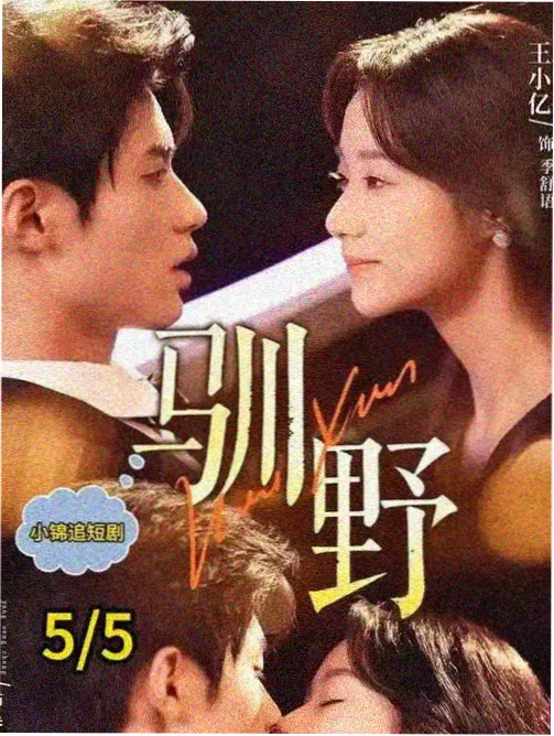 在线免费观看 海贼王